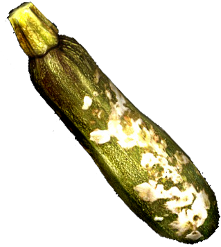 Slimy Zucchini (379x400), Png Download