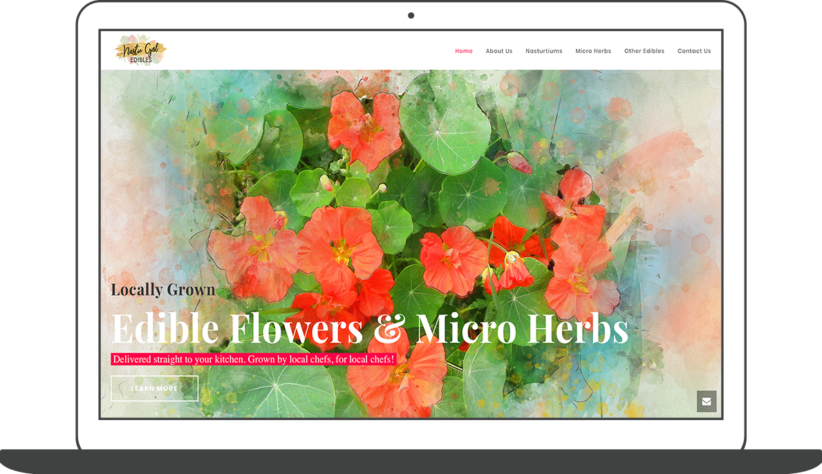 Follow Me On Instagram And Dribbble - Hollyhocks (1189x686), Png Download