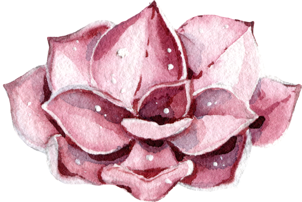 Pink Flowers Watercolor Hand-painted Transparent - Watercolor Painting (1024x686), Png Download