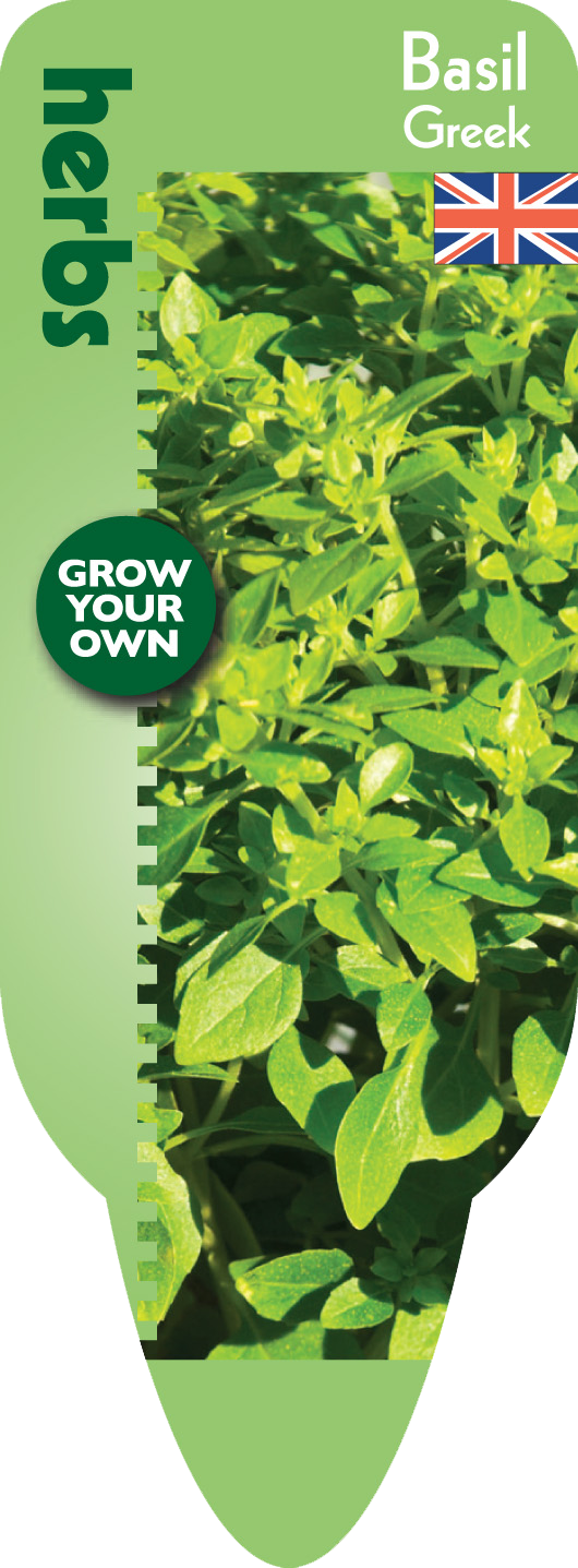 Basil Leaves Png Download - Basil (530x1437), Png Download