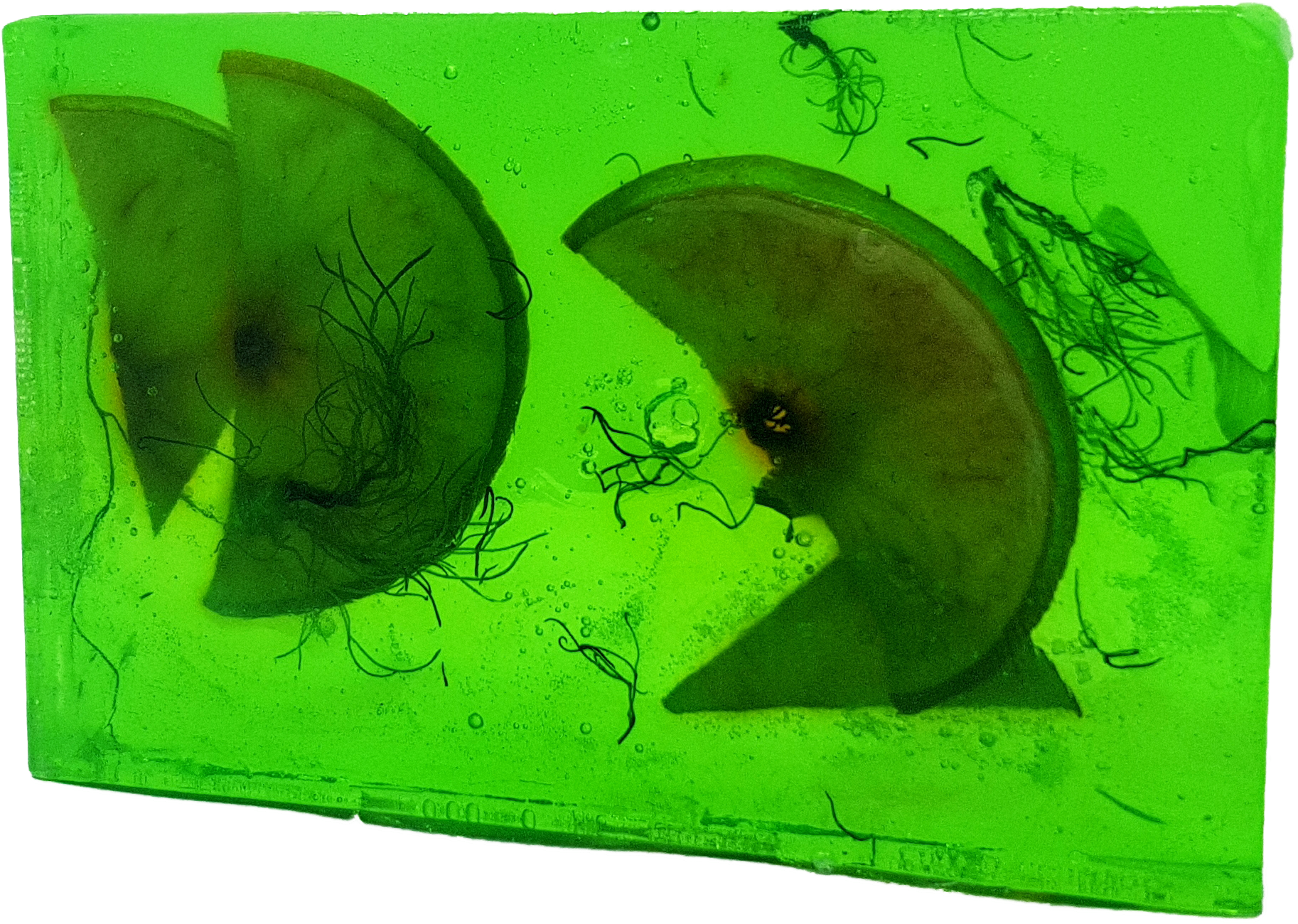 Still Life (1965x1964), Png Download