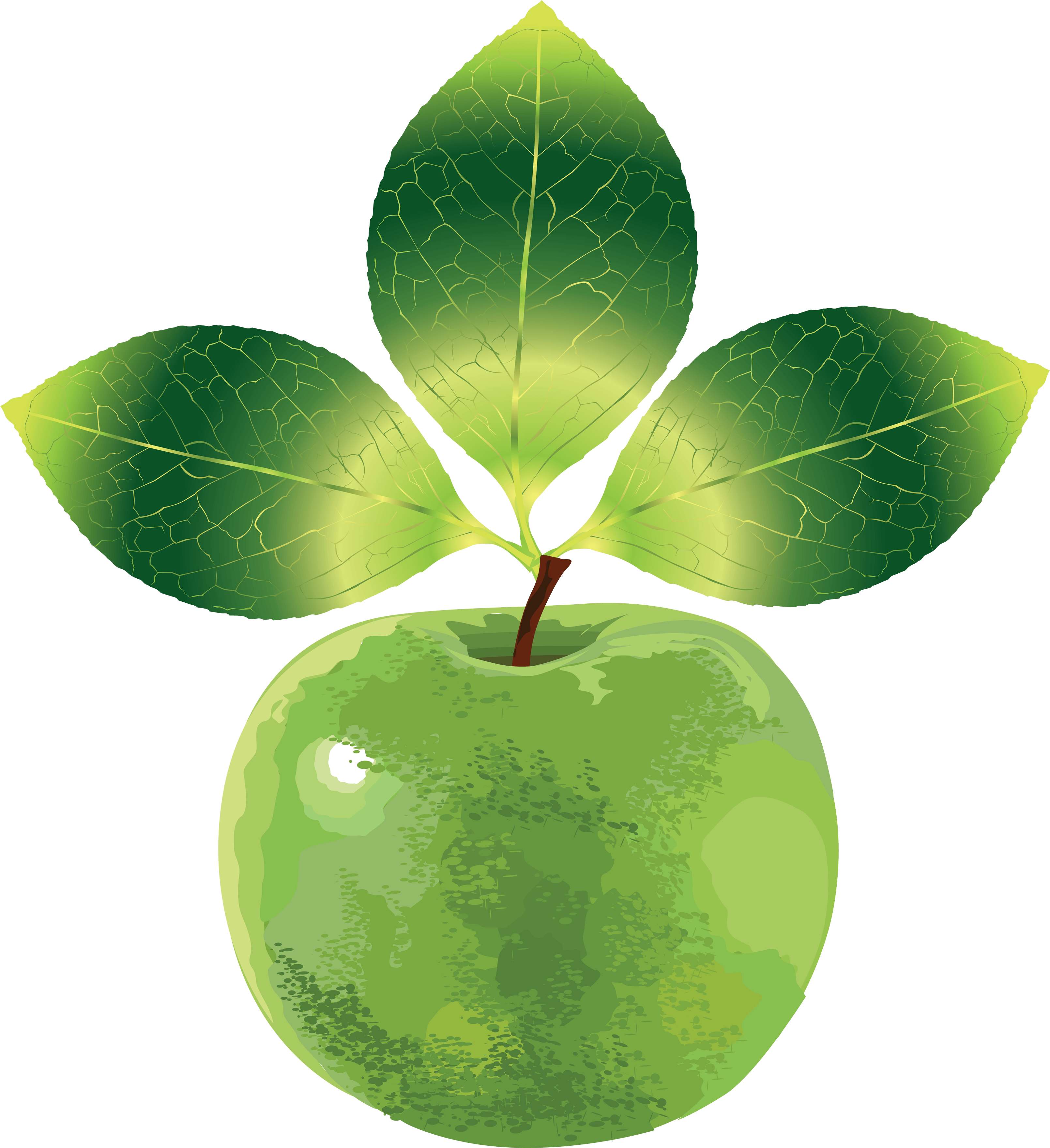 Green Apple Png Image Png Image - Vector Graphics (3219x3520), Png Download