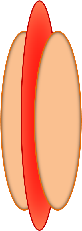 Hotdog (287x803), Png Download
