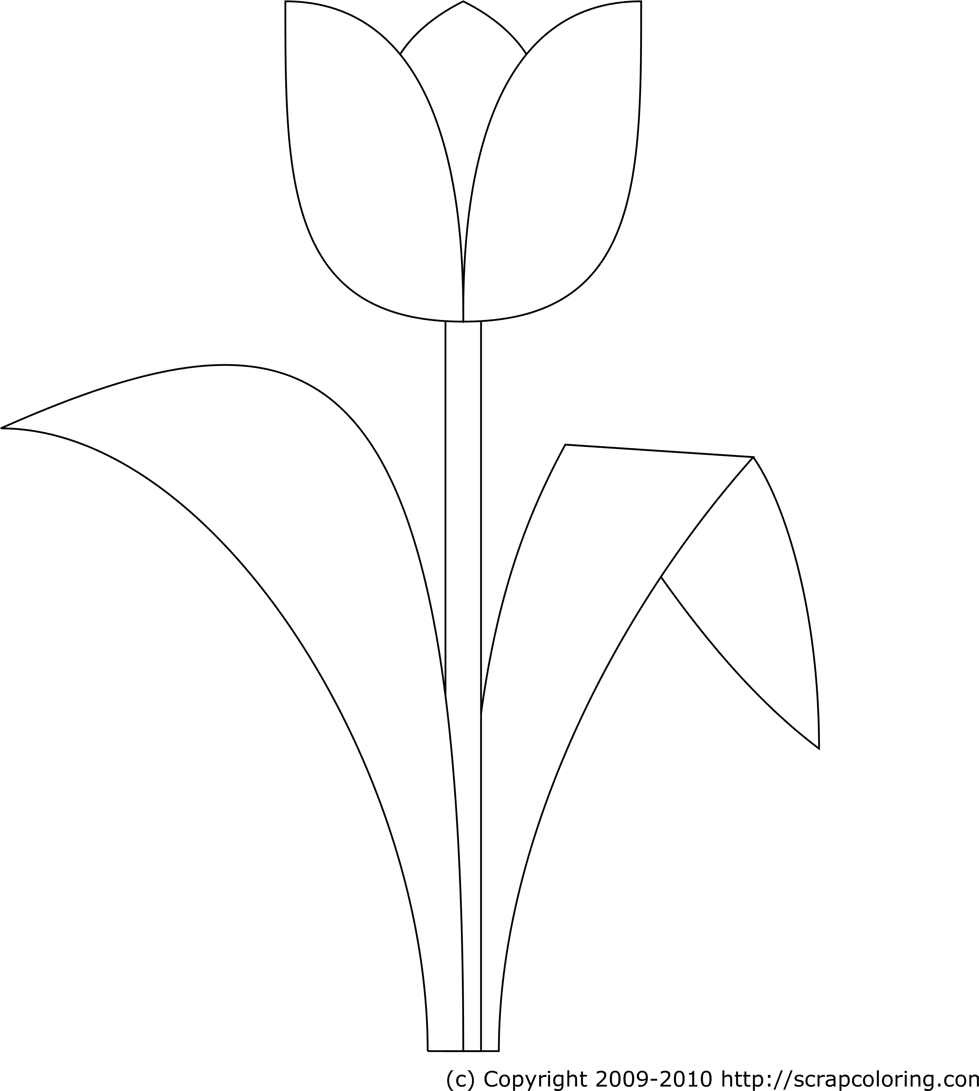 Line Art (3600x3780), Png Download