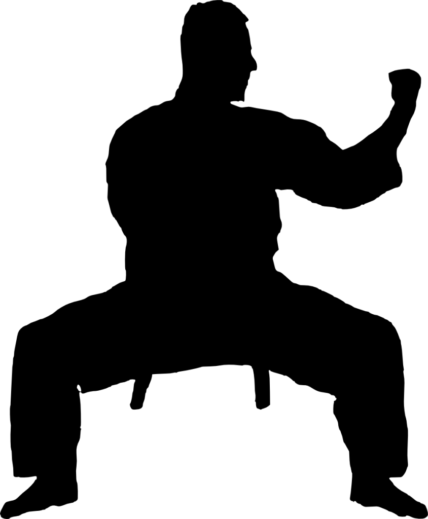 Free Png Karate Silhouette Png Images Transparent - Karate Silhouette Png (480x583), Png Download