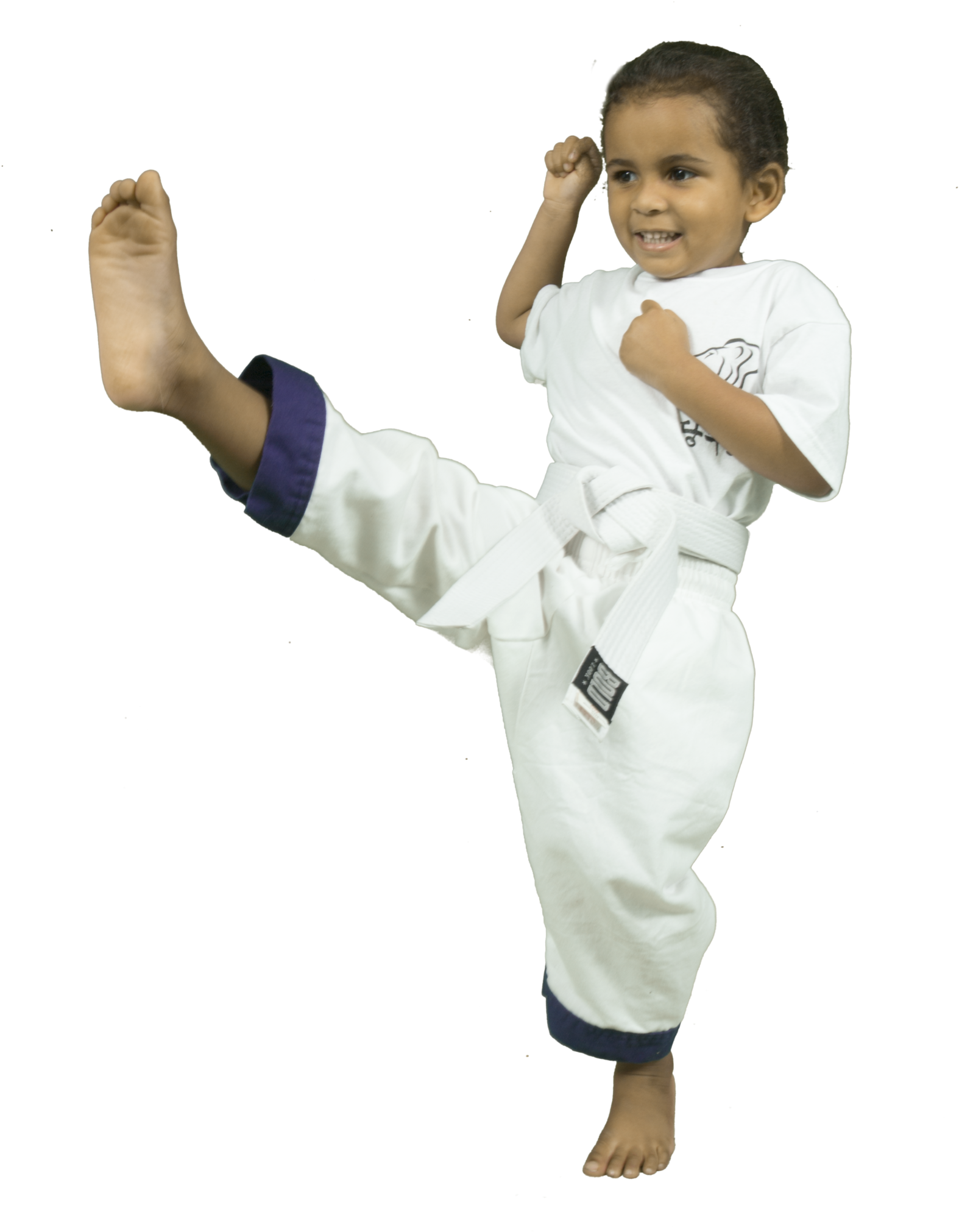 Lion Cubs Ages Lions Den Karate Png Lion Karate Belt (1590x2048), Png Download