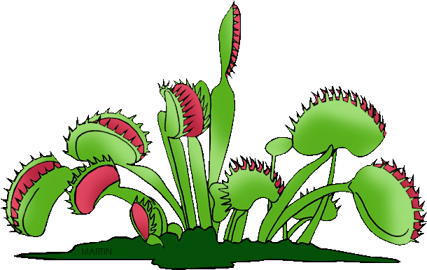 United States Clip Art By Phillip Martin - Venus Fly Trap Clip Art (648x422), Png Download