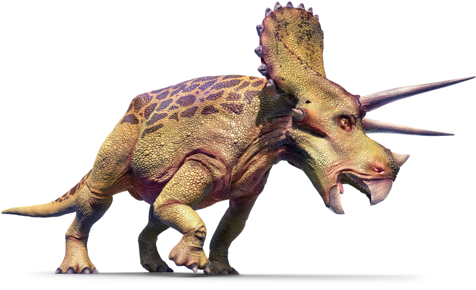 Triceratops Left Cepidt - Big History: Examines Our Past, Explains Our Present, (960x586), Png Download