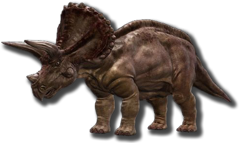 Triceratops - Triceratops Png (500x300), Png Download