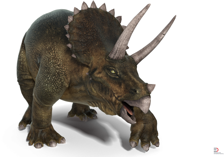 2 Triceratops Rigged Royalty-free 3d Model - Dinosaur (920x517), Png Download