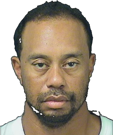 Image - Tiger Woods Drunk Driving (374x454), Png Download