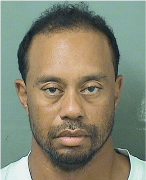 Tiger Woods - Tiger Woods Mugshot 2017 (650x370), Png Download