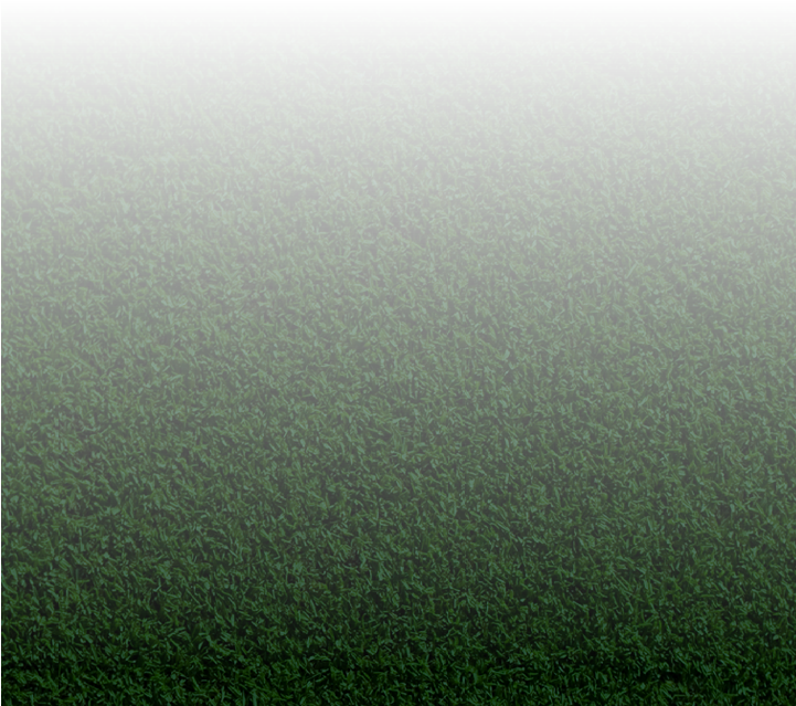 Tiger - - Mist (720x1280), Png Download