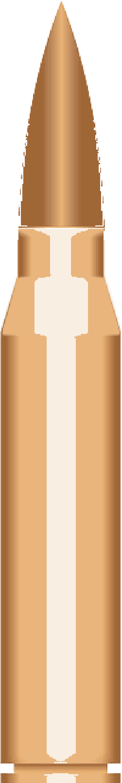 Shield - Cosmetics (800x1600), Png Download