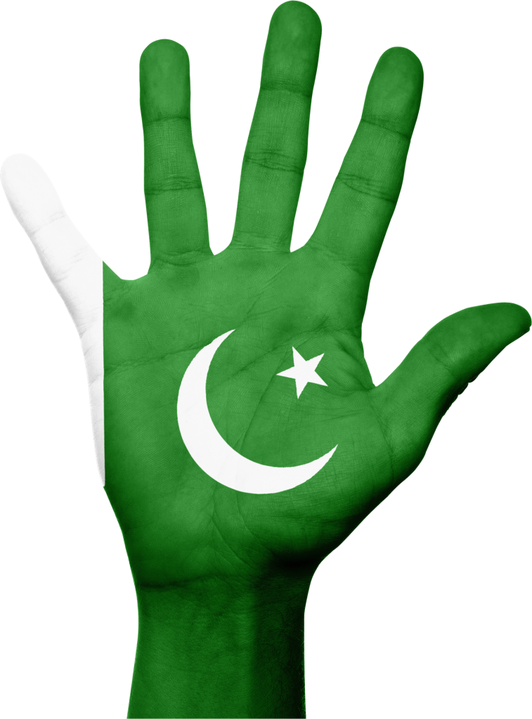 Pakistan Png Images1 - Lingala Language: The Lingala Phrasebook And Dictionary (757x1024), Png Download