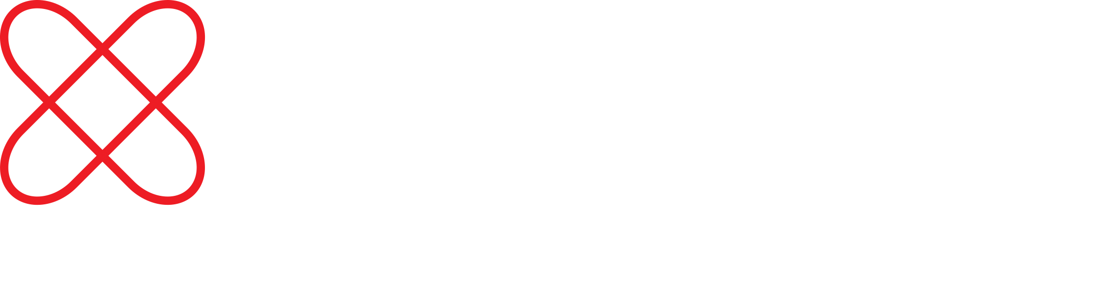 Png - 91 - 99 Kb - Pixyz Logo (2236x590), Png Download