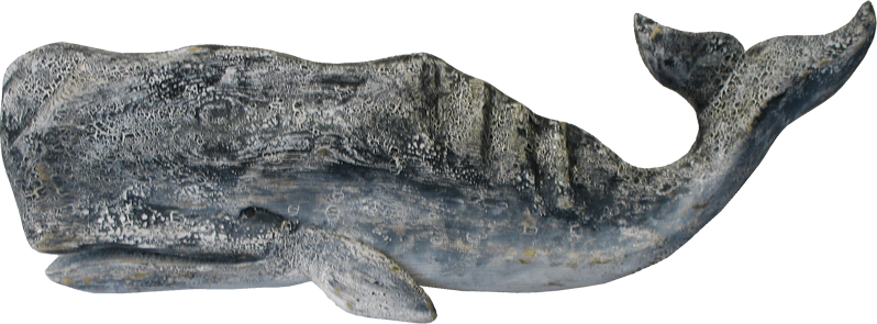 51 - Sperm Whale (798x295), Png Download
