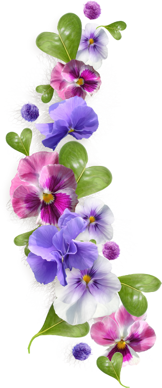 Zibi Scrap Picture Black And White - Violet Flower Border Clip Art (334x800), Png Download