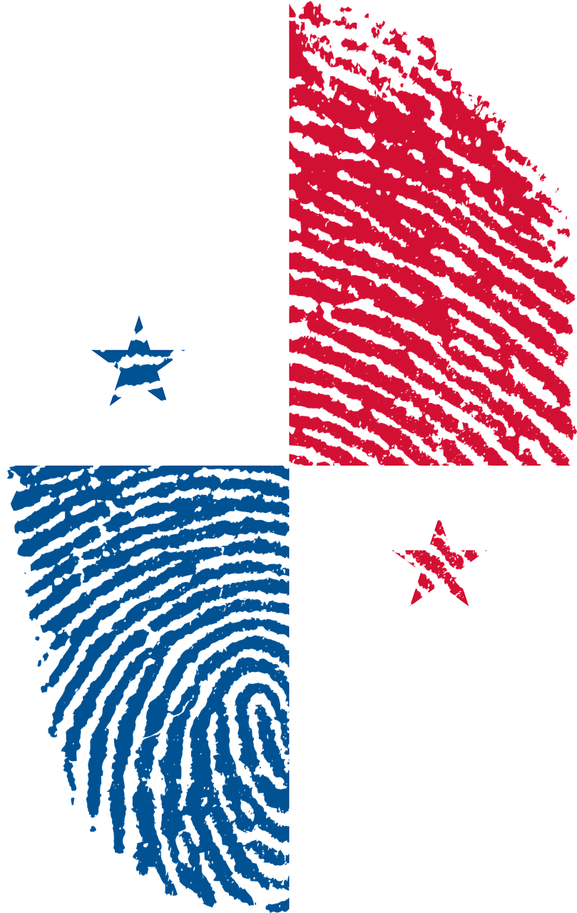 Travel, Panama, Flag, Fingerprint, Country - Digital Bandeira Do Brasil (809x1280), Png Download