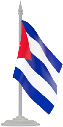 Papua New Guinea Flag Gif (640x480), Png Download