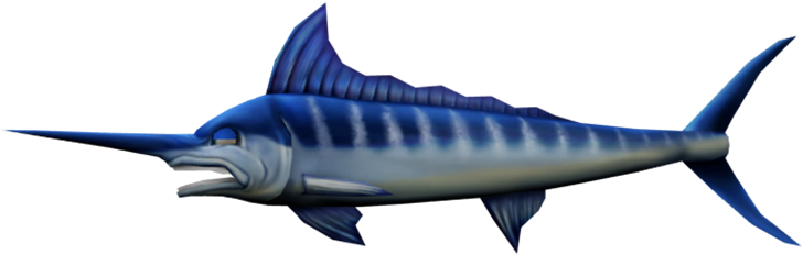 Download Zip Archive - Atlantic Blue Marlin (750x650), Png Download