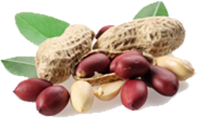 Sekku Ennai (397x341), Png Download