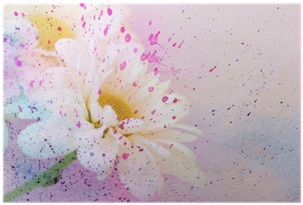 Chamomile's Flower And Watercolor Splatter Poster • - Watercolor Painting (400x400), Png Download