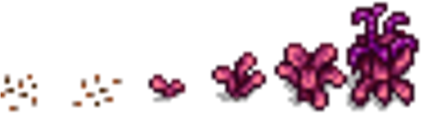 Amaranth (880x246), Png Download