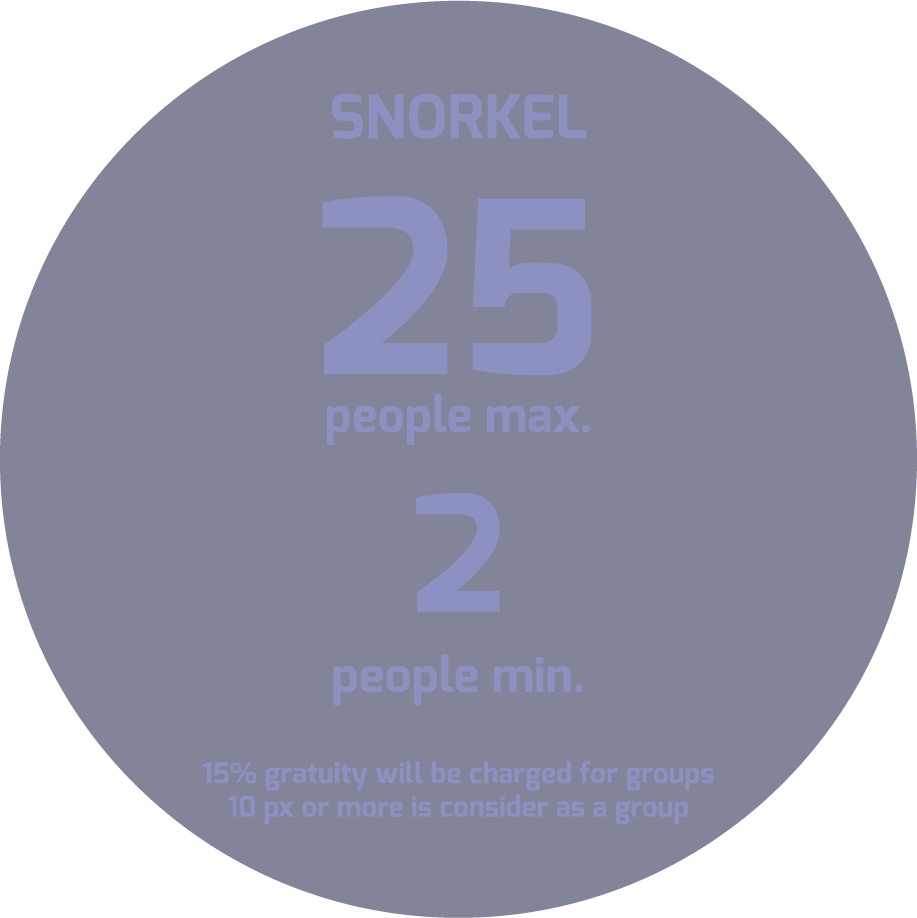 Group Snorkel - Circle (917x918), Png Download