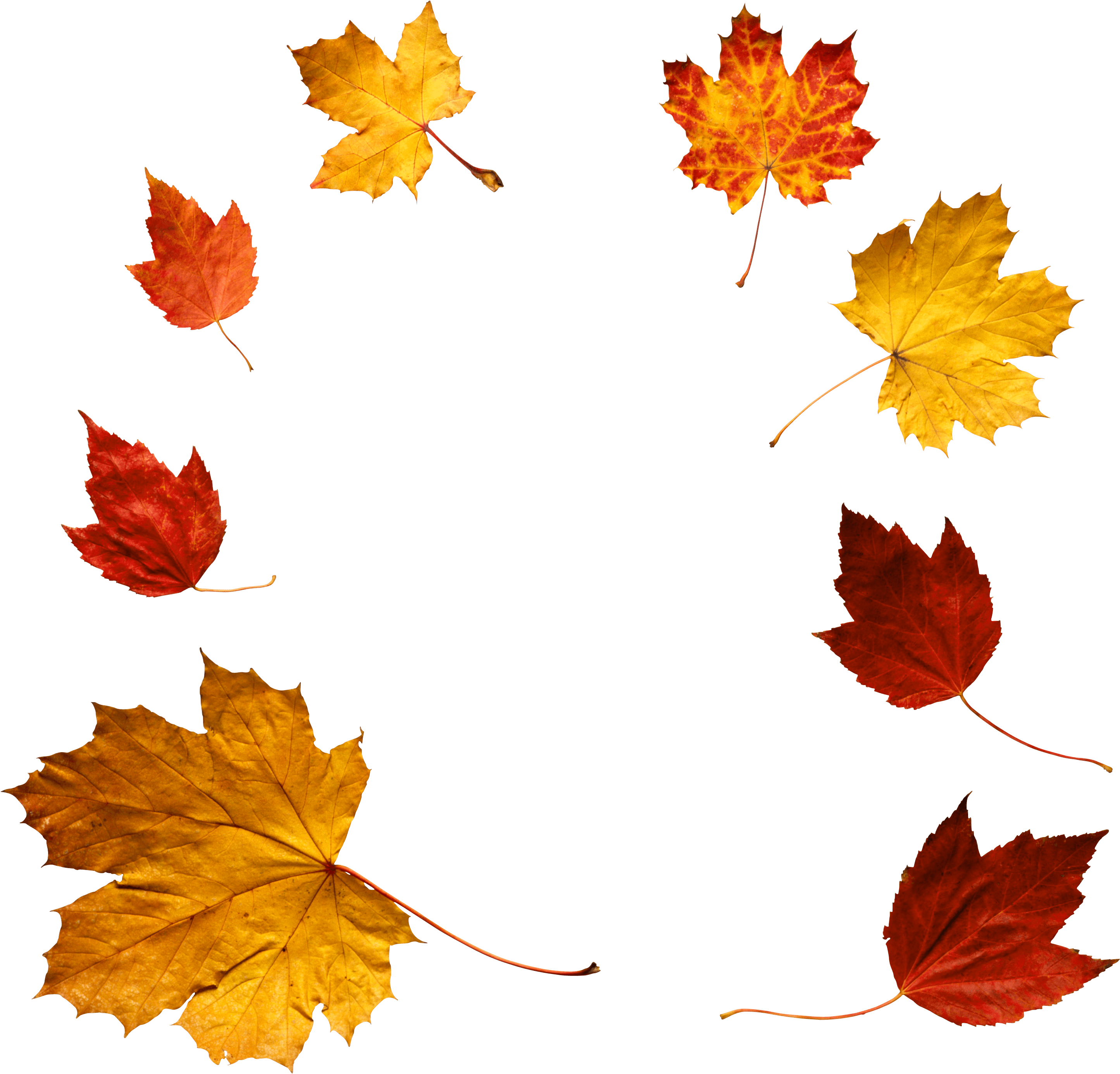 Download Hd Autumn Leaves Png Icon Autumn Png Transparent Png Image Nicepng Com