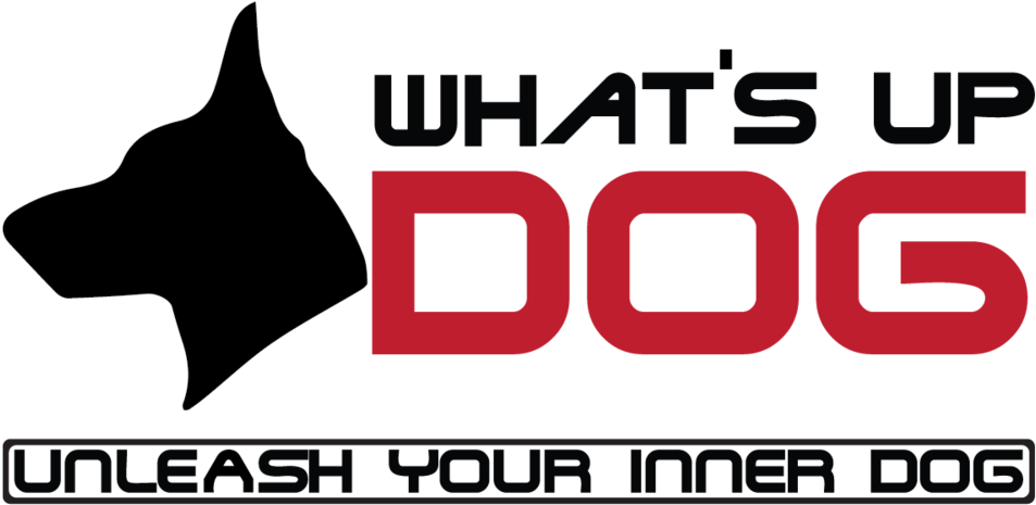 Dog Paw Png (1000x495), Png Download