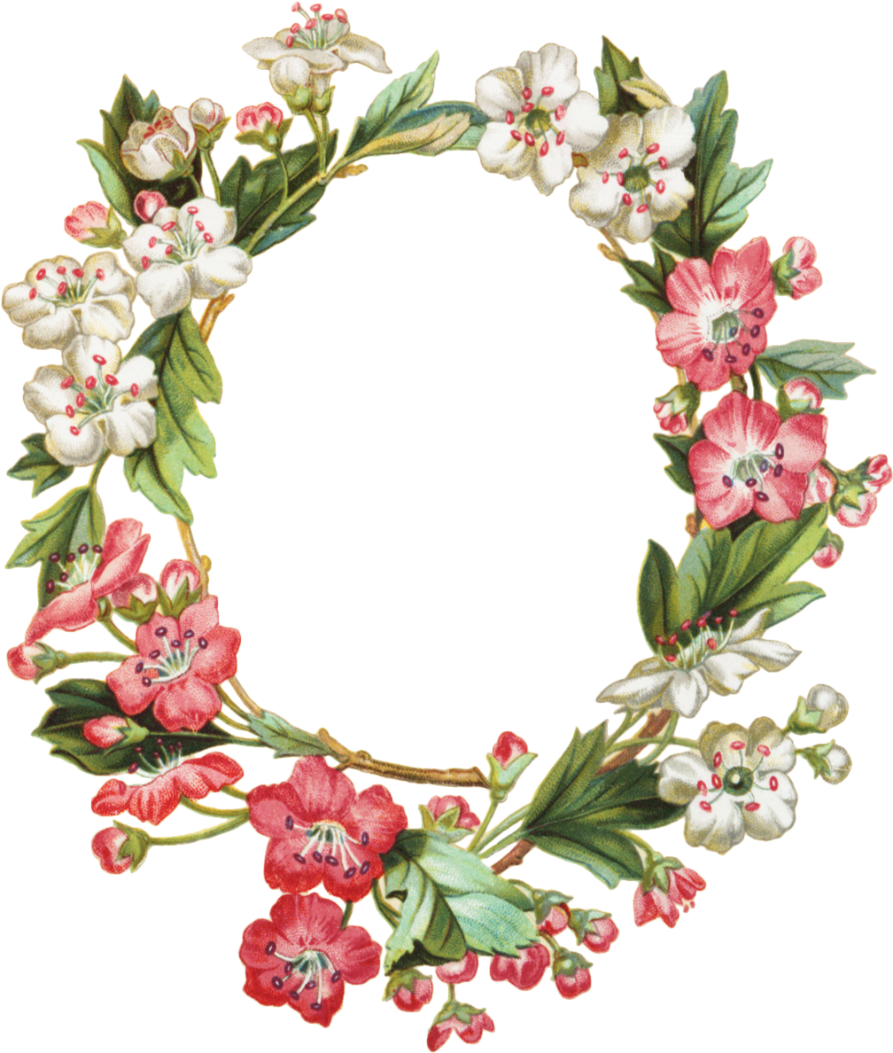 012 Apple Blossom Oval Wreath Graphicsfairy 1,020×1,200 - Free Photo Flower Frames (1020x1200), Png Download