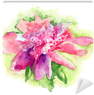 Pink Peony Flower, Watercolor Painting Wall Mural • - Watercolor Painting (400x400), Png Download