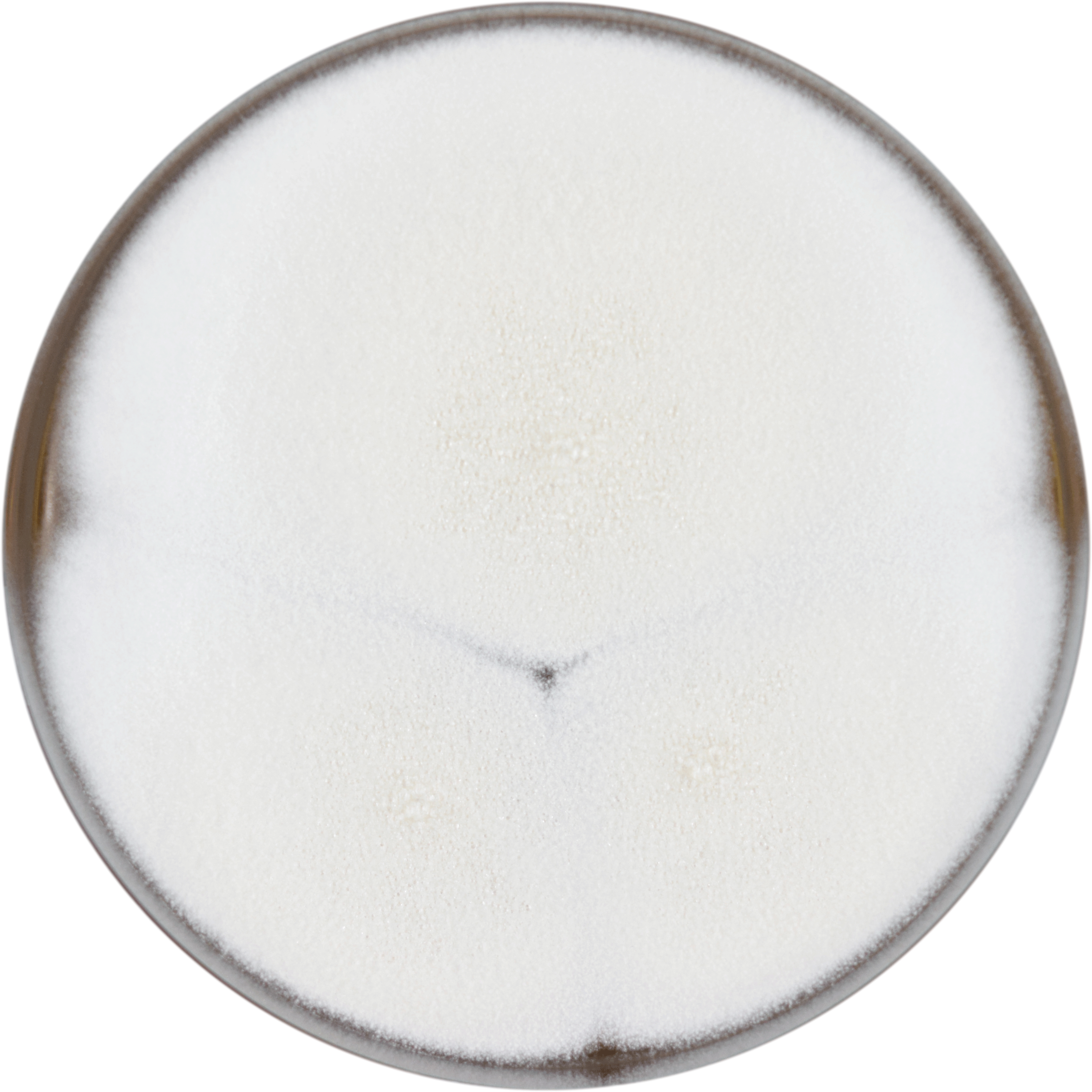 12″ Round Plate - จาน กระดาษ เฟส ท์ (550x700), Png Download