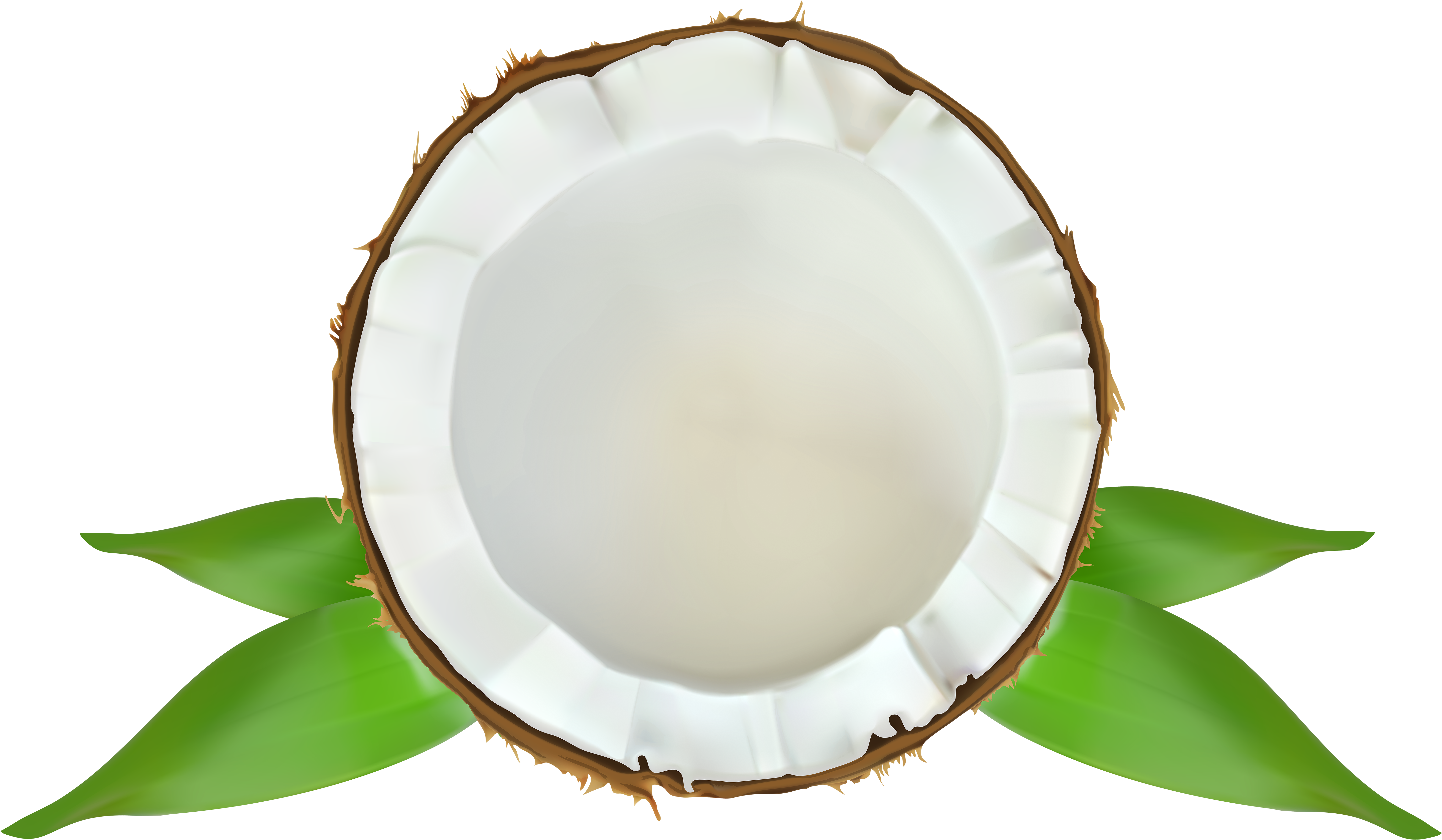 Candlemaker's Store Vanilla Coconut Premium Fragrance (6000x3579), Png Download