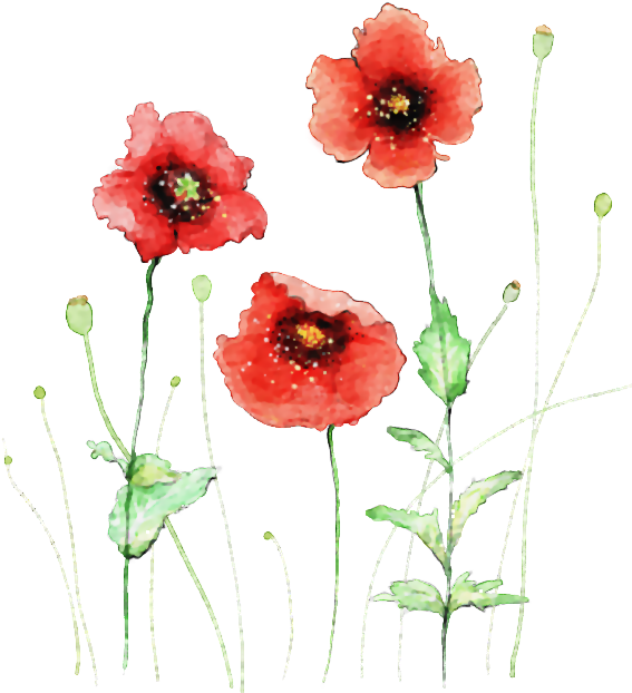 Visit - Watercolor Red Flower Painting (574x658), Png Download