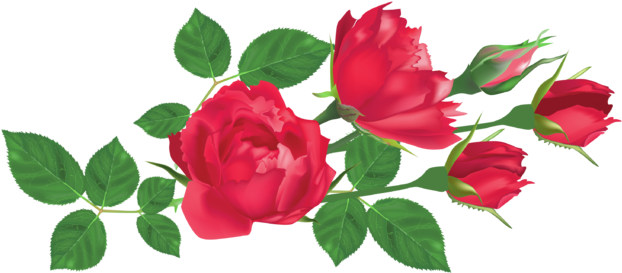 Transparent Red Roses Png Clipart Picture - Rose Leaves Clip Art (640x281), Png Download