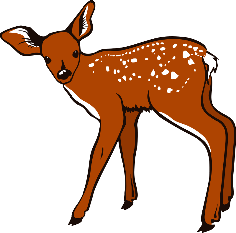Mother And Baby Clipart Deer - White Tailed Deer Clipart (586x578), Png Download