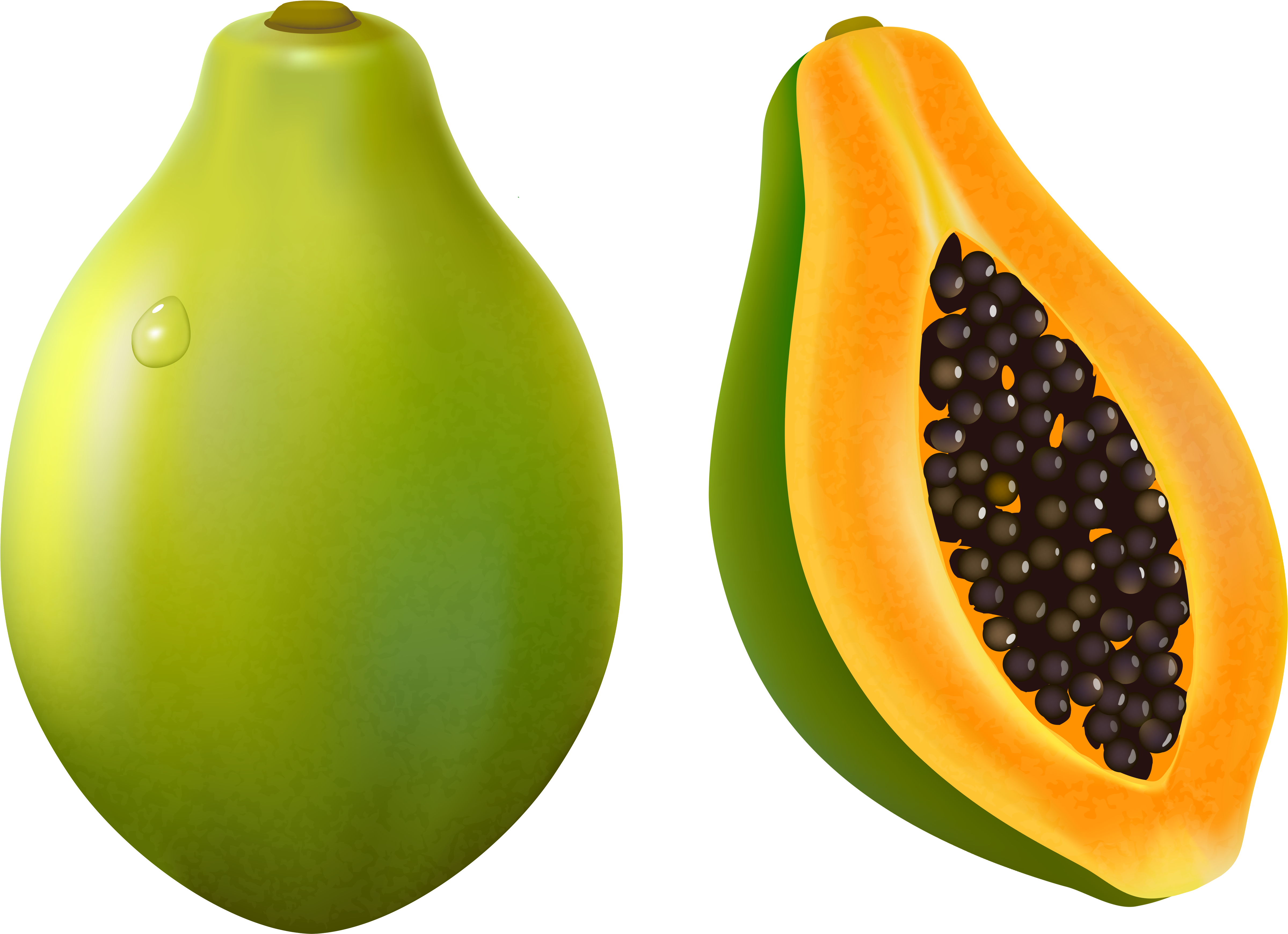 Papaya Png Vector Clipart Image - Papaya Clipart (4981x3641), Png Download