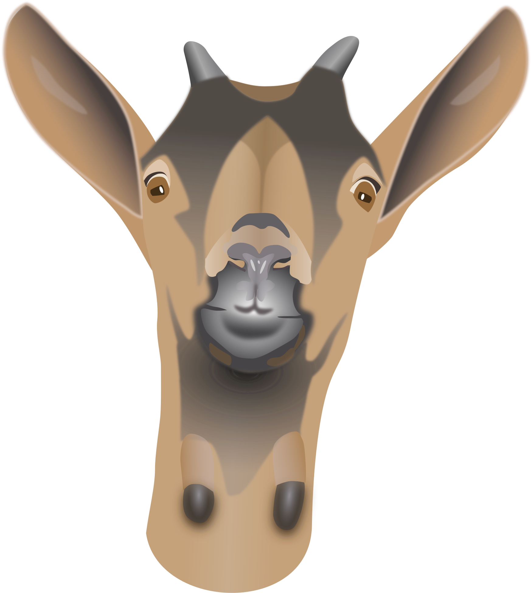 Goat Clipart Horns - Cartoon Goat Head Png (2000x2400), Png Download
