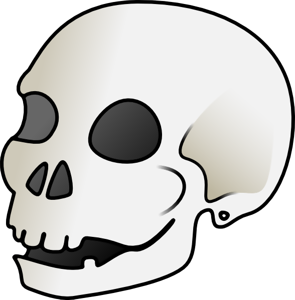 The Editing Of The Human Skull - Spooky Intensifies (588x599), Png Download