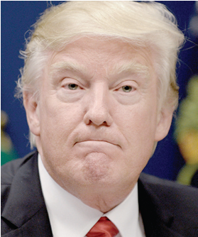 Donald Trump (609x334), Png Download