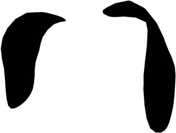 Download HD Dog Ears Png - Dog Transparent PNG Image - NicePNG.com