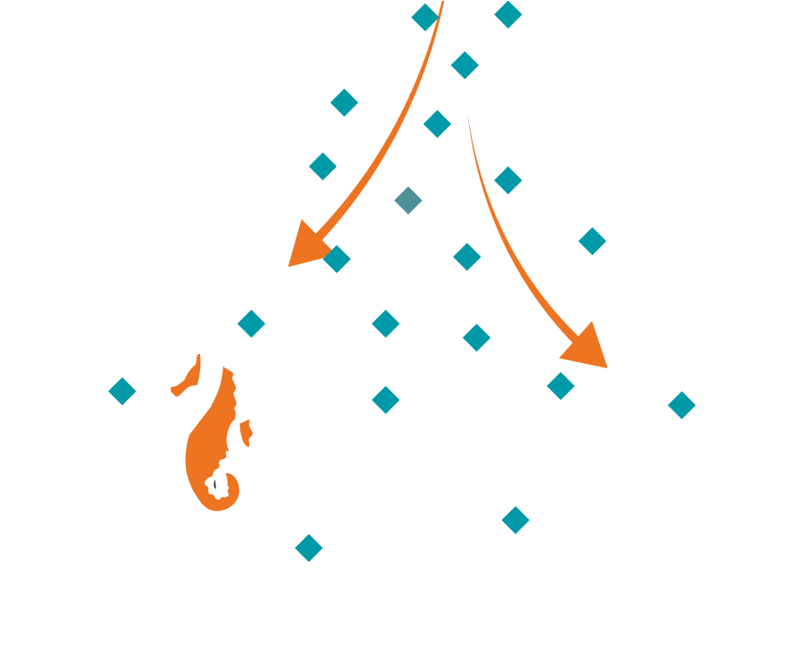 Ag-coral - Illustration (1000x750), Png Download