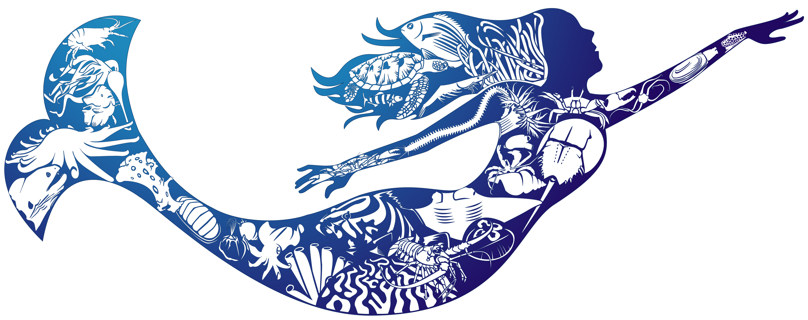 Benthic Ecology (2610x1051), Png Download