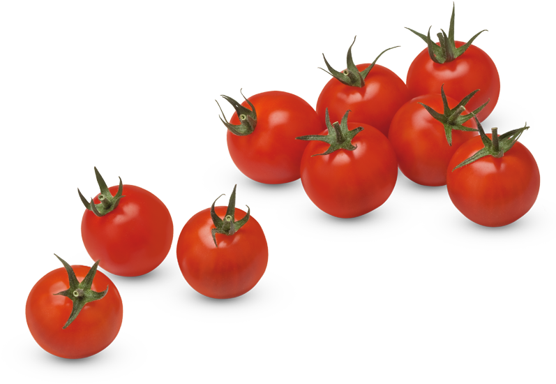 Fresh Tomato Png Download Image - Tomate Cerise Png (800x560), Png Download