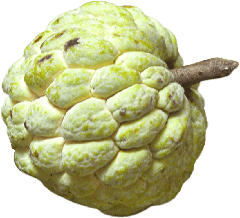 Free Png Custard Apple Png Images Transparent - Custard Apple Fruit Png (850x781), Png Download