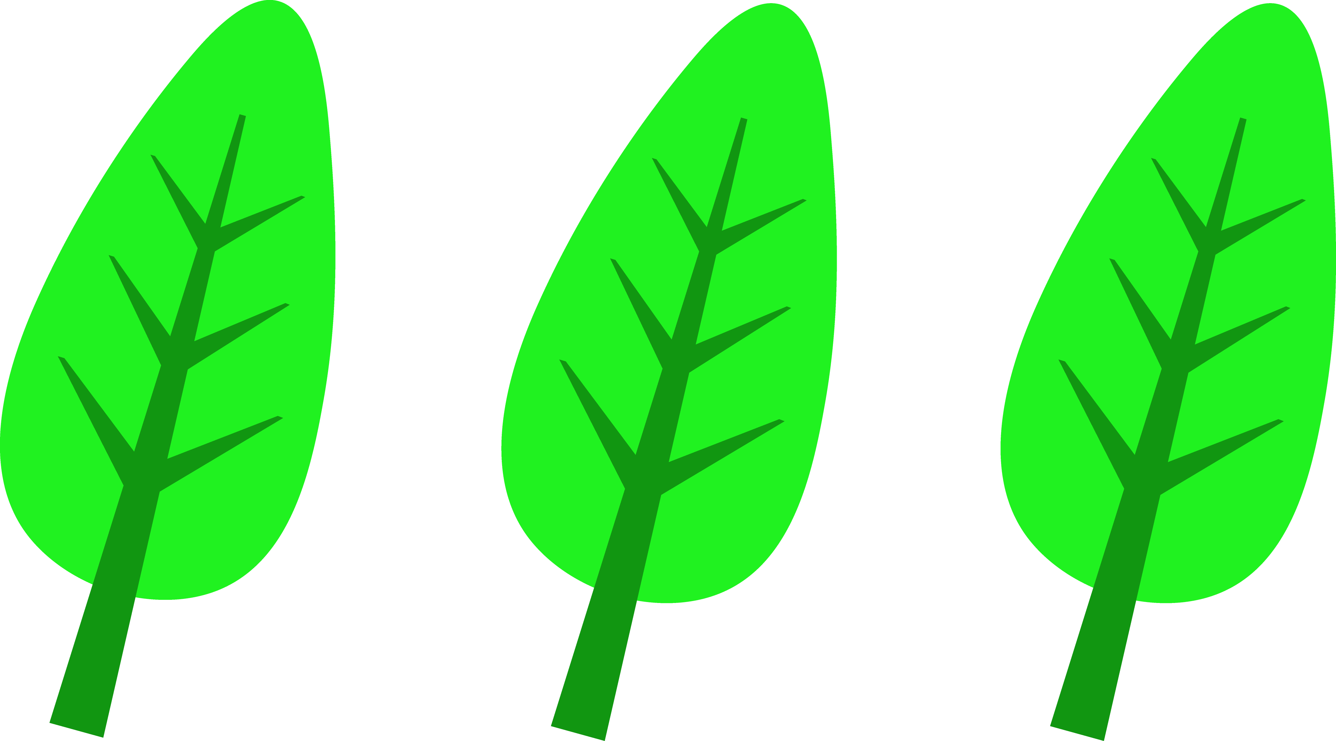 Leaves Yellow Leaf Clipart Free Images - Set Of Leaves Clipart (4260x2362), Png Download