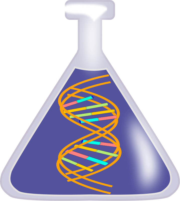 Dna Clip Art Png (718x800), Png Download