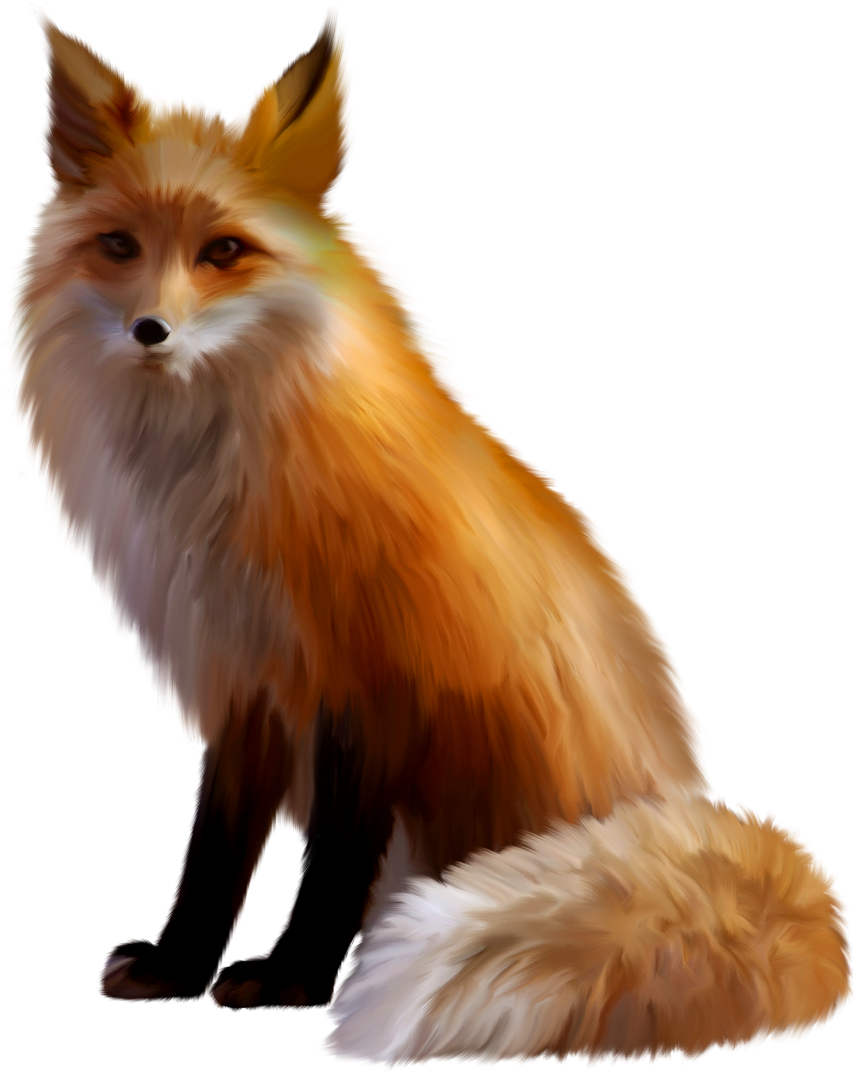 Fox Png (1689x2117), Png Download